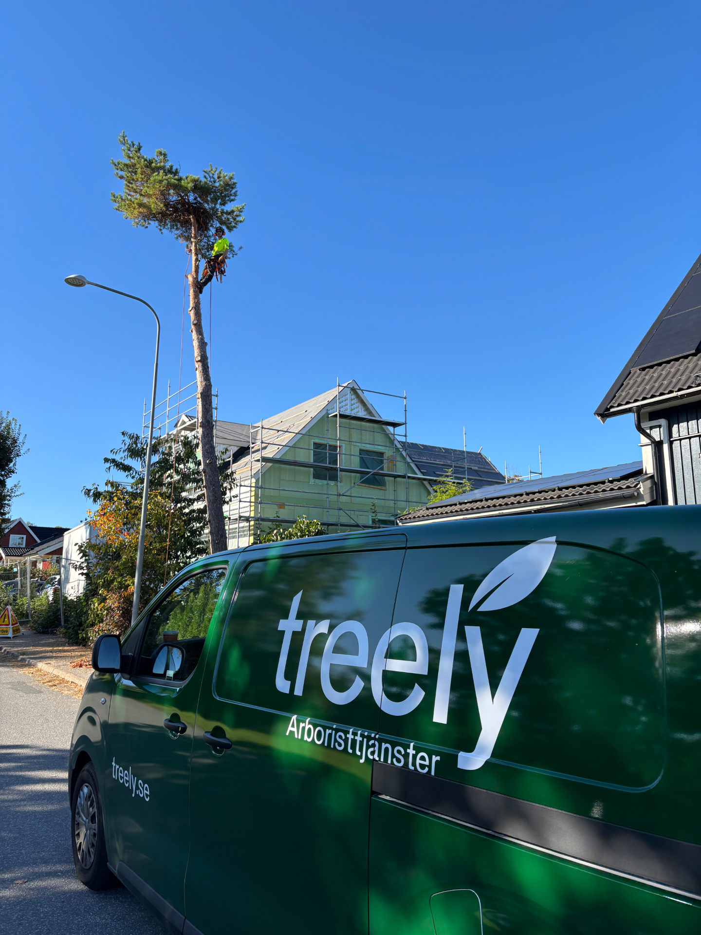 Treelys arbetsbil på plats vid ett trädfällningsarbete